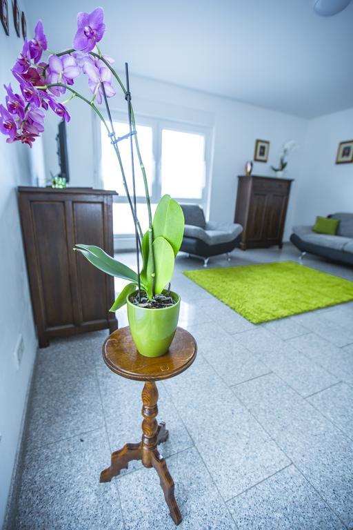 Apartment Wohnen Auf Zeit